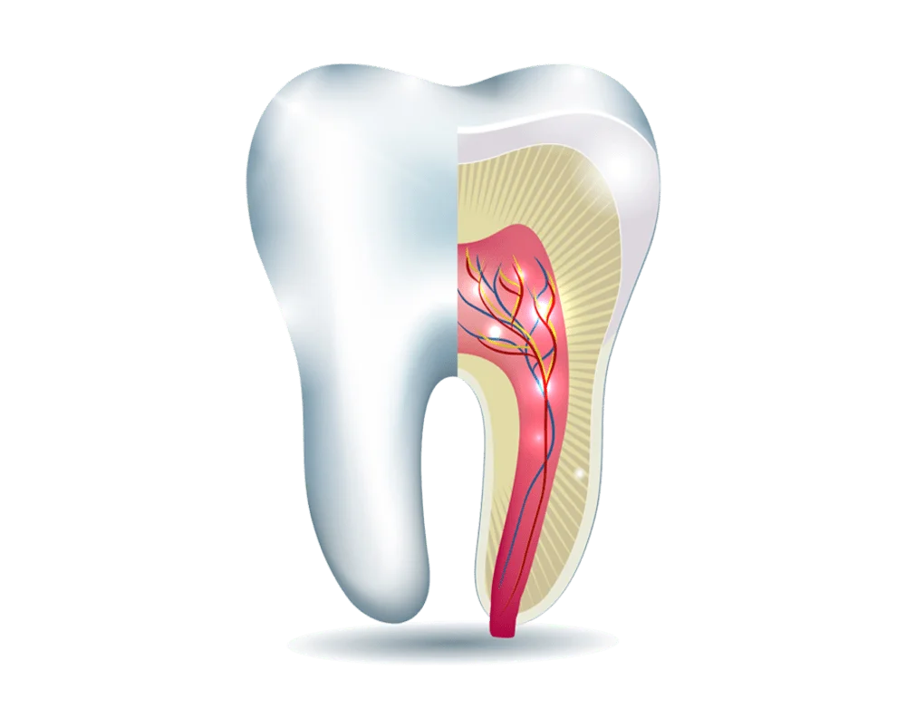 Teeth Filling